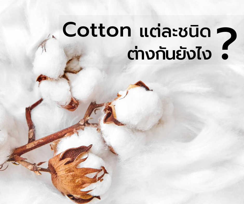 COTTON